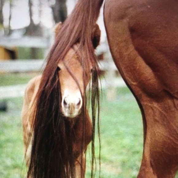 Create a Bundle! 🎀 15% off two or more items!🎉🦄 - Picture 5 of 11